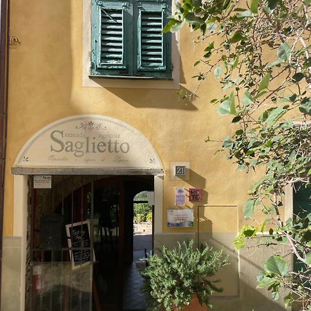 Uliveto Saglietto Agriturismo A Poggi Apartments Imperia Exterior foto