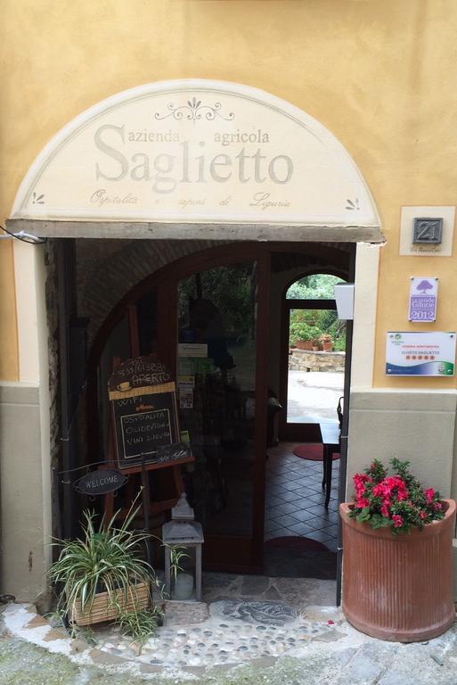 Uliveto Saglietto Agriturismo A Poggi Apartments Imperia Exterior foto