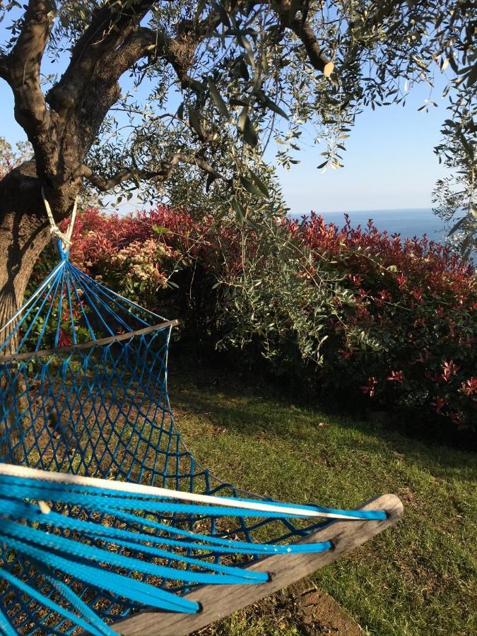 Uliveto Saglietto Agriturismo A Poggi Apartments Imperia Exterior foto